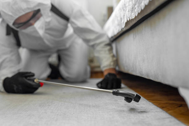 Professional Mosquito Control technician working in Ruston, WA