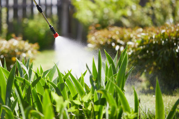 24/7 Emergency Mosquito Control experts in Ruston, WA