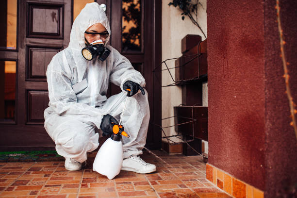 Reliable Mosquito Control contractor in Ruston, WA by Nex Pest Control