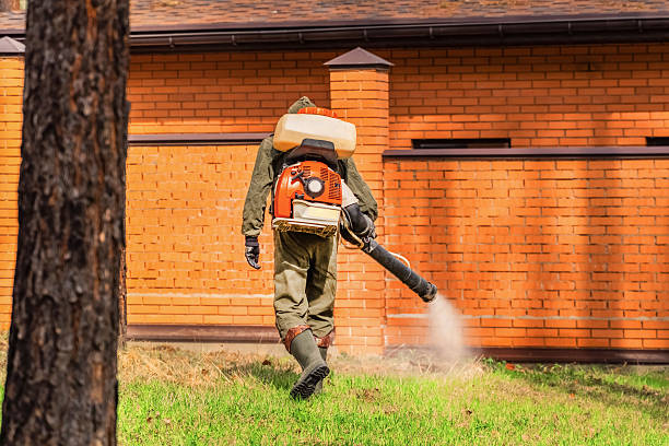Top rated local Mosquito Control specialists in Ruston, WA
